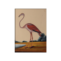 Flamingo magnet